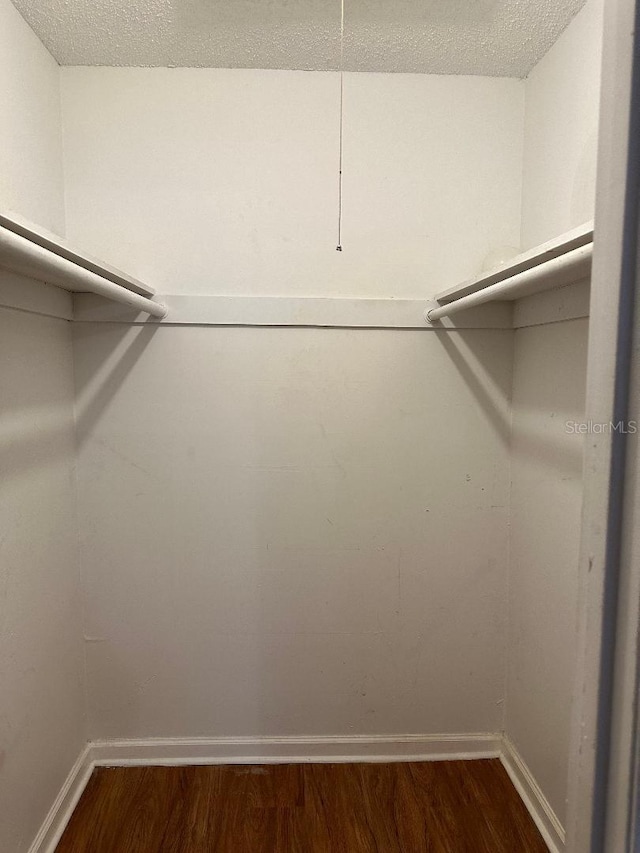 walk in closet featuring dark wood-style floors
