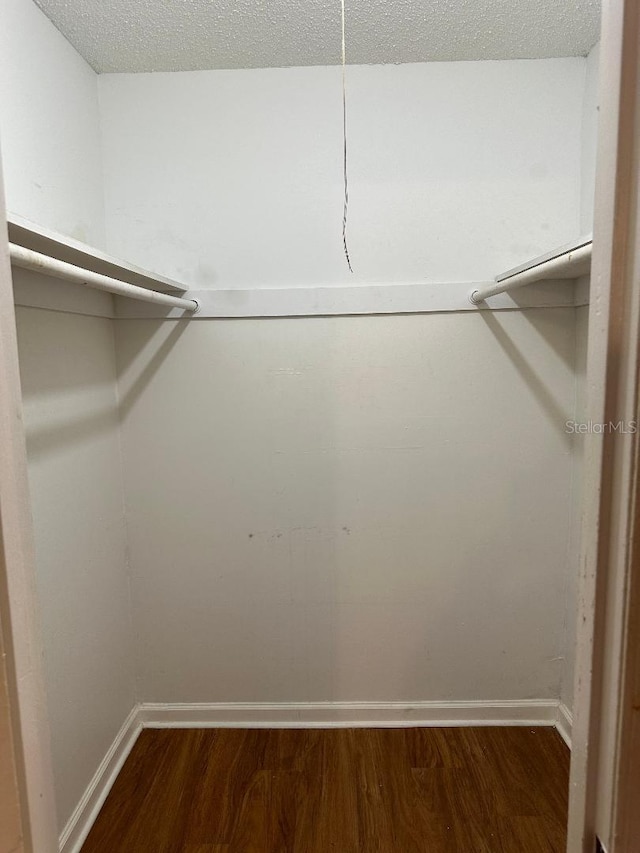 spacious closet featuring dark wood-type flooring