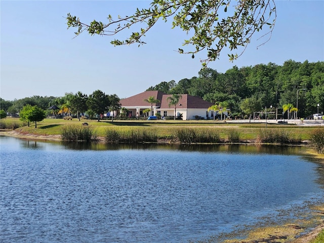 2531 Old Kent Cir, Kissimmee, FL 34758 - water view
