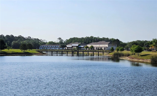 2531 Old Kent Cir, Kissimmee, FL 34758 - water view