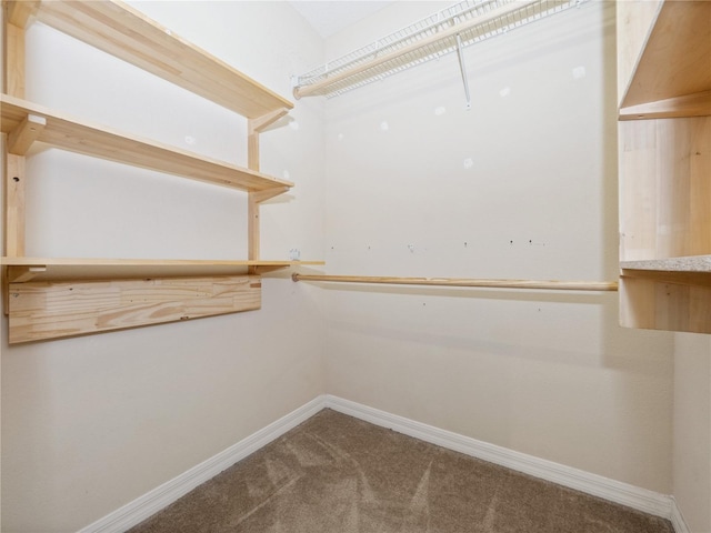 walk in closet featuring carpet flooring