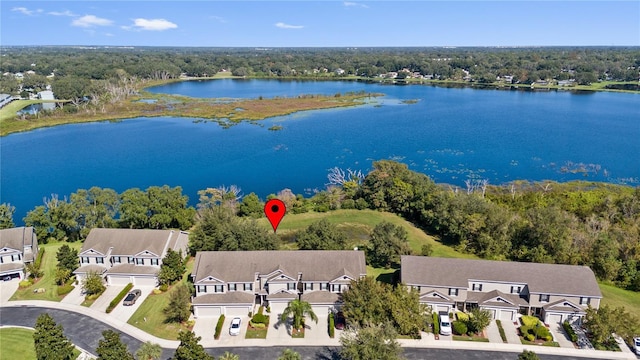 aerial perspective of suburban area featuring a large body of water and a forest