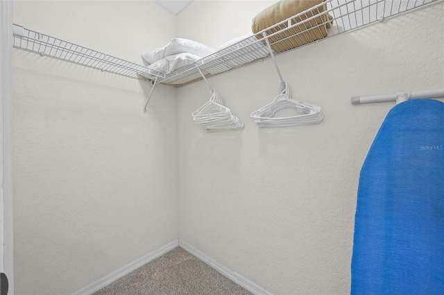 3060 Pirates Retreat Ct Unit 309, Kissimmee, FL 34747 - spacious closet featuring carpet floors
