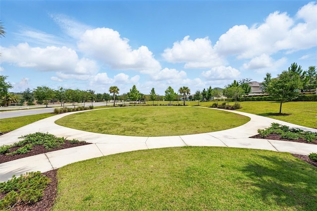 view of community with a lawn