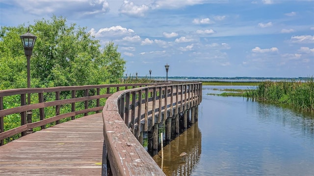 dock area with a water view