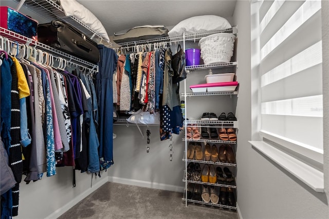 352 Smugglers Way, Apopka, FL 32712 - walk in closet featuring carpet