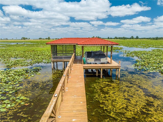 1654 Marina Lake Dr, Kissimmee, FL 34744 - dock area with boat lift and a water view