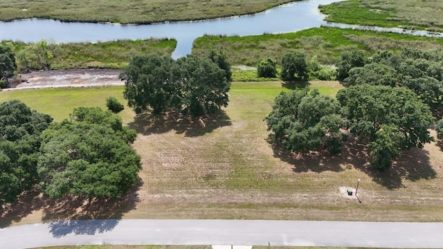 Royal Palm Dr Lot 34, Groveland, FL 34736 - photo 1