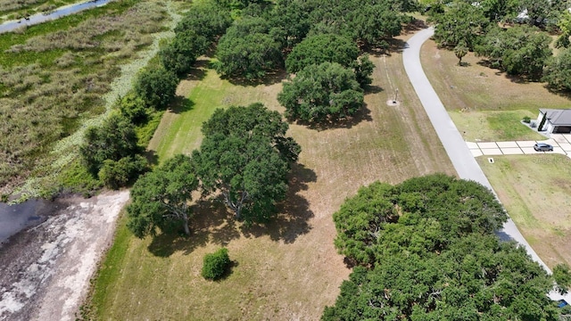 Royal Palm Dr Lot 34, Groveland, FL 34736 - photo 2