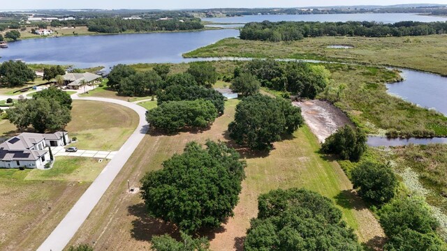 Royal Palm Dr Lot 34, Groveland, FL 34736 - photo 6