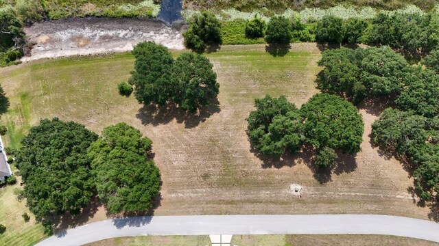 Royal Palm Dr Lot 34, Groveland, FL 34736 - photo 7