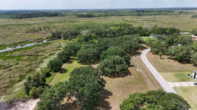 Royal Palm Dr Lot 34, Groveland, FL 34736 - photo 8