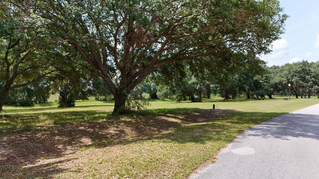 Royal Palm Dr Lot 34, Groveland, FL 34736 - photo 15