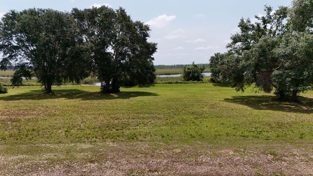 Royal Palm Dr Lot 34, Groveland, FL 34736 - photo 16