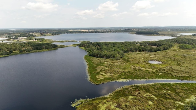 Royal Palm Dr Lot 34, Groveland, FL 34736 - photo 19