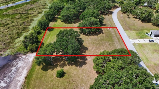Royal Palm Dr Lot 34, Groveland, FL 34736 - photo 24