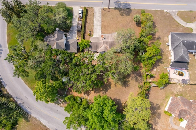 drone / aerial view