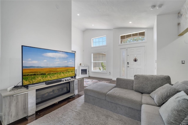 149 Imperial Oak Ct, Davenport, FL 33896 - living room featuring wood finished floors, high vaulted ceiling, recessed lighting, and a glass covered fireplace