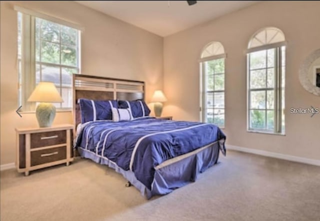 214 Tupelo Cir, Davenport, FL 33897 - bedroom featuring light carpet and baseboards