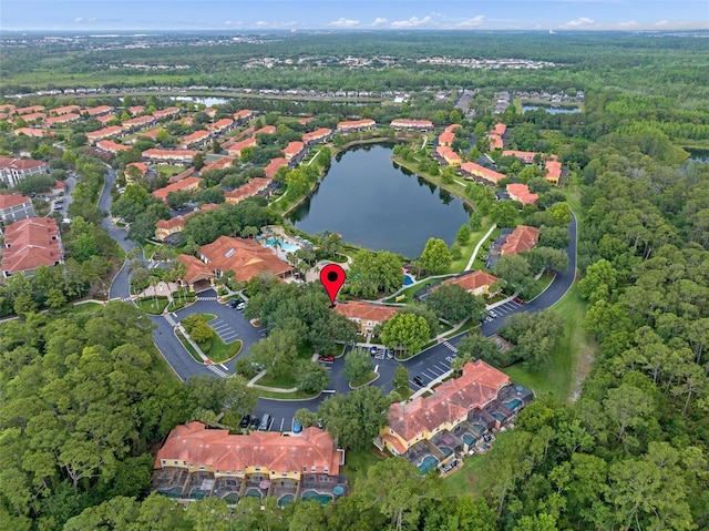 3015 Yellow Lantana Ln, Kissimmee, FL 34747 - aerial view of property's location with a large body of water and a heavily wooded area