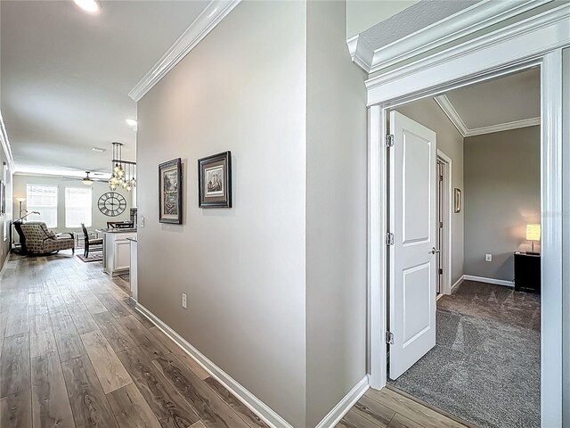 1373 Williams Rd, Winter Garden, FL 34787 - photo 14