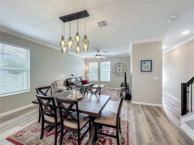 1373 Williams Rd, Winter Garden, FL 34787 - photo 23