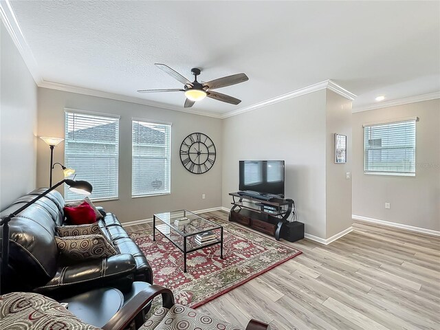 1373 Williams Rd, Winter Garden, FL 34787 - photo 30