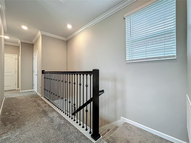 1373 Williams Rd, Winter Garden, FL 34787 - photo 33