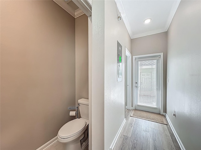 1373 Williams Rd, Winter Garden, FL 34787 - photo 51