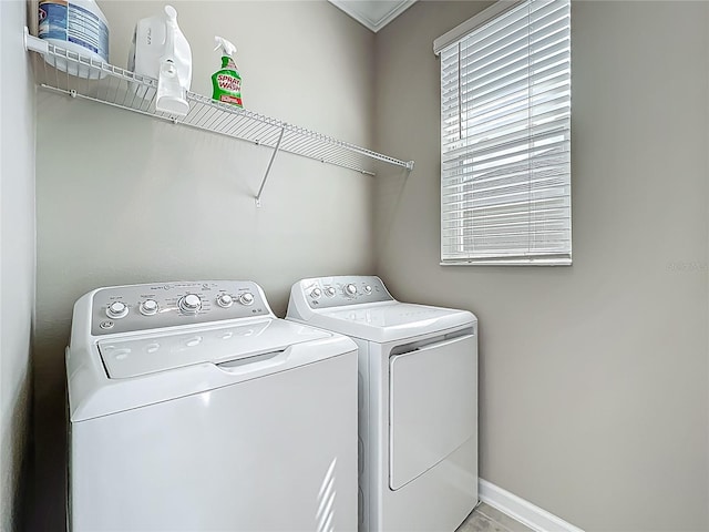 1373 Williams Rd, Winter Garden, FL 34787 - photo 52