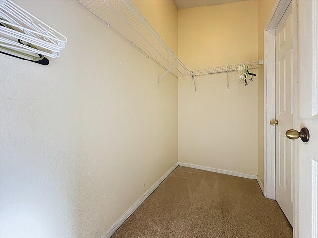 4707 Pershoie Ln, Kissimmee, FL 34746 - photo 25
