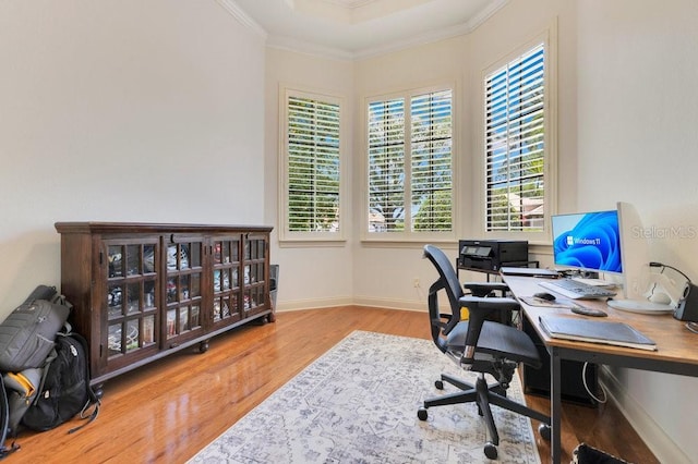 6761 Valhalla Way, Windermere, FL 34786 - home office featuring crown molding, plenty of natural light, and wood finished floors
