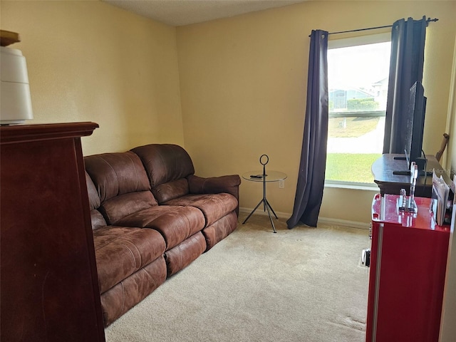 living area featuring carpet and baseboards