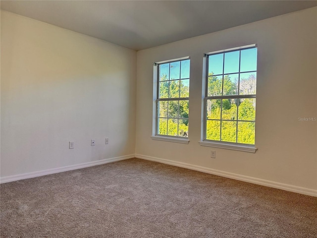 10734 Dawson Lily Way Unit S, Orlando, FL 32832 - unfurnished room with carpet floors, baseboards, and plenty of natural light