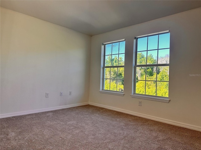 10734 Dawson Lily Way Unit S, Orlando, FL 32832 - empty room featuring baseboards and carpet floors