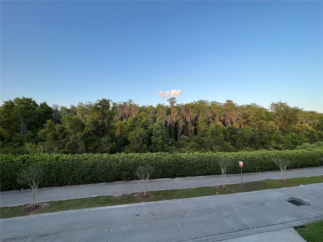 10734 Dawson Lily Way Unit S, Orlando, FL 32832 - view of road featuring a wooded view