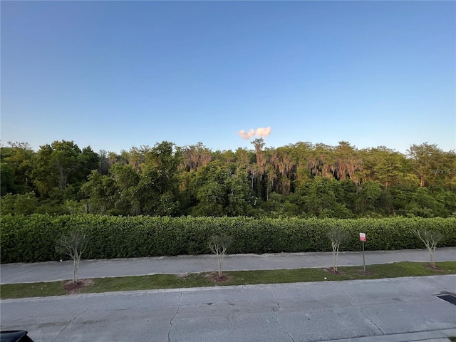 10734 Dawson Lily Way Unit S, Orlando, FL 32832 - view of yard with a view of trees