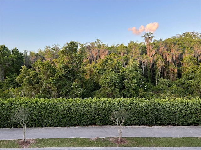 10734 Dawson Lily Way Unit S, Orlando, FL 32832 - view of yard with a wooded view