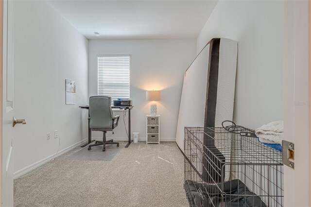 824 Ofanto Way, Haines City, FL 33844 - photo 10