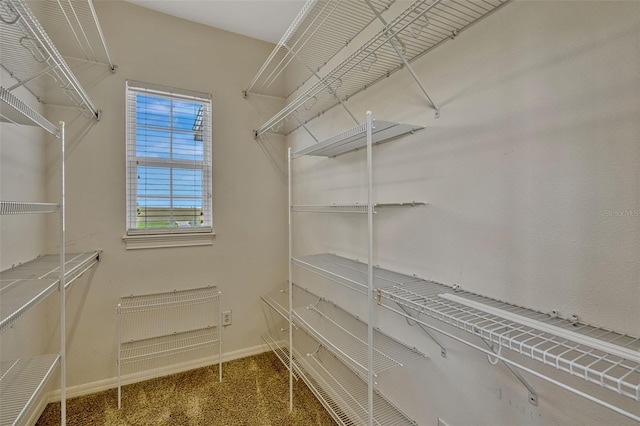 2350 Bradbury Rd, Haines City, FL 33844 - walk in closet with carpet floors