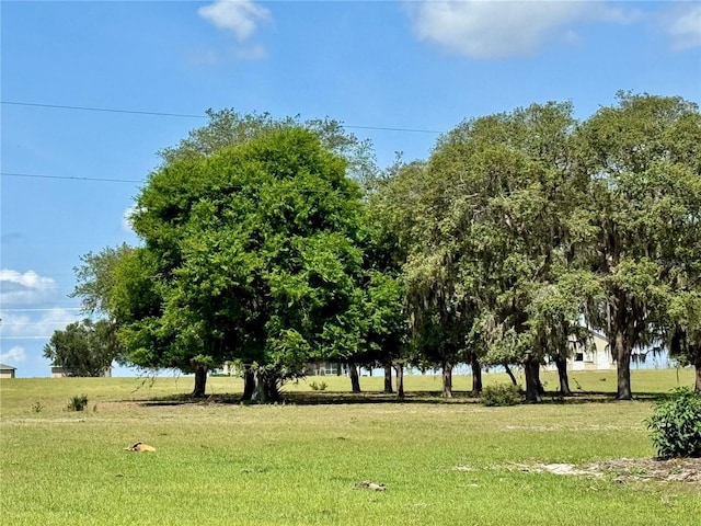 2350 Bradbury Rd, Haines City, FL 33844 - view of home's community with a lawn