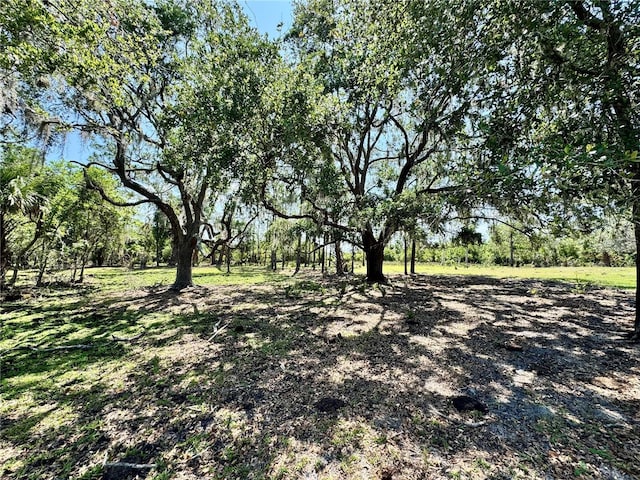 2350 Bradbury Rd, Haines City, FL 33844 - view of yard