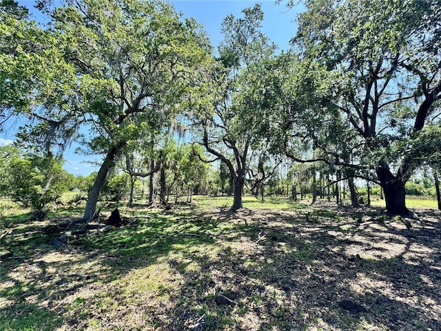 2350 Bradbury Rd, Haines City, FL 33844 - view of nature