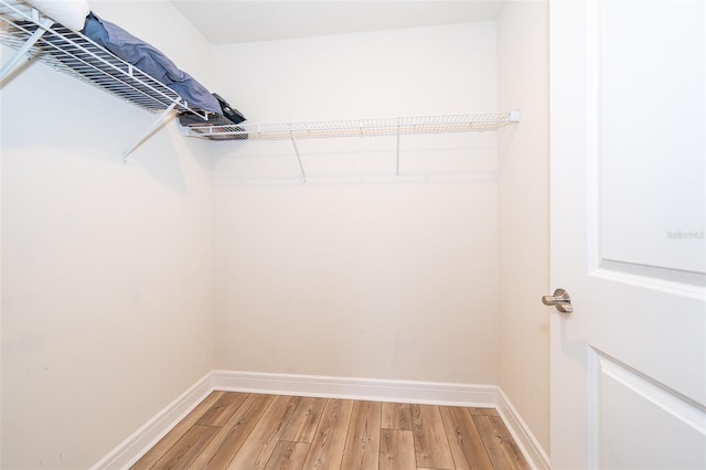 spacious closet featuring light wood-style flooring