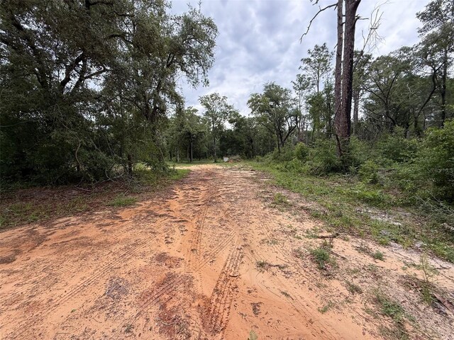10155 SW 158th Ln, Dunnellon, FL 34432