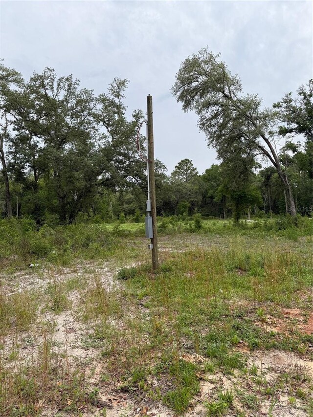 10155 SW 158th Ln, Dunnellon, FL 34432