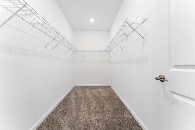 walk in closet with carpet floors