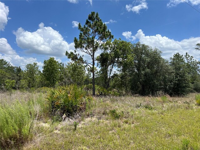 3309/3323 W Hampshire Blvd, Citrus Springs, FL 34433 - photo 3