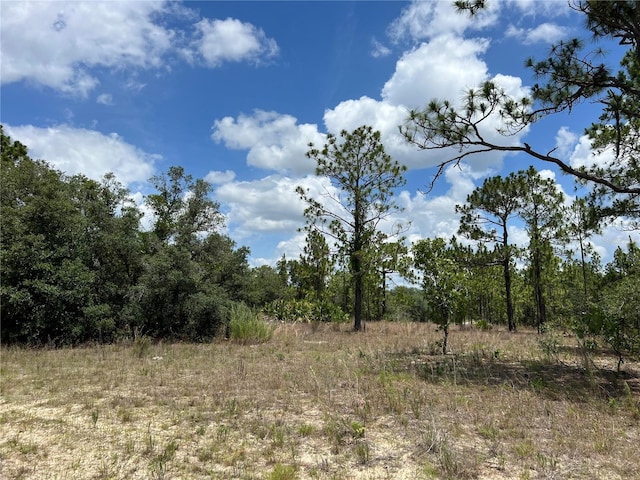 3309/3323 W Hampshire Blvd, Citrus Springs, FL 34433 - photo 4