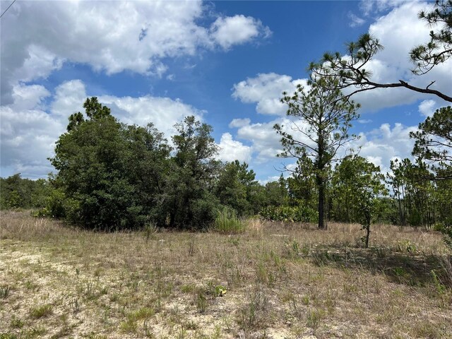 3309/3323 W Hampshire Blvd, Citrus Springs, FL 34433 - photo 5